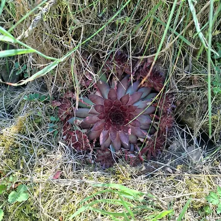 Chez Arnaoutou Casa de Férias *