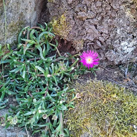 Vakantiehuis Chez Arnaoutou *